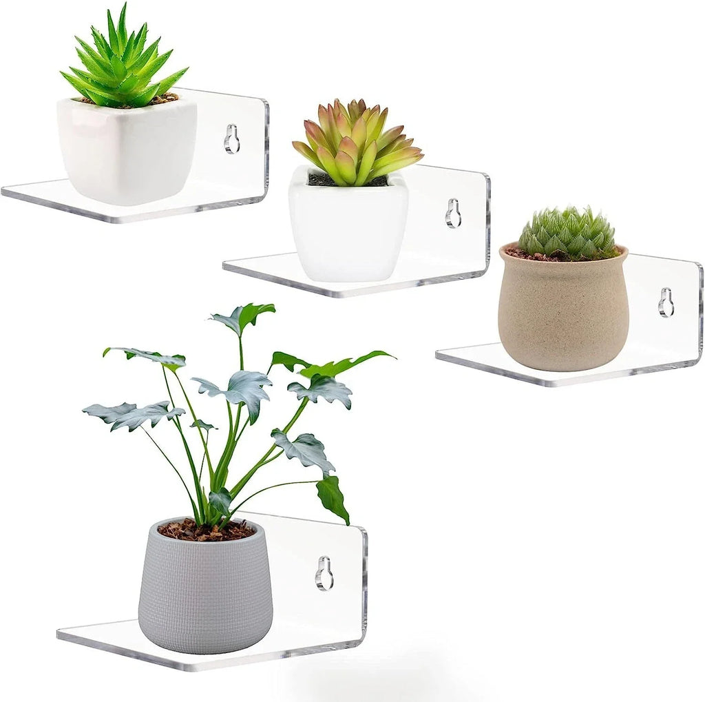 Acrylic Floating Shelves